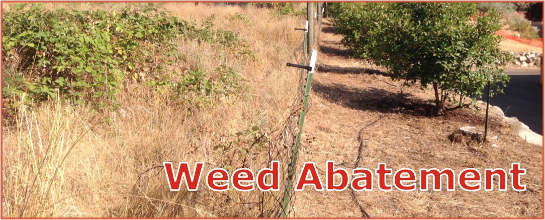 Weed Abatement title